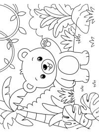 Cute bear in the jungle